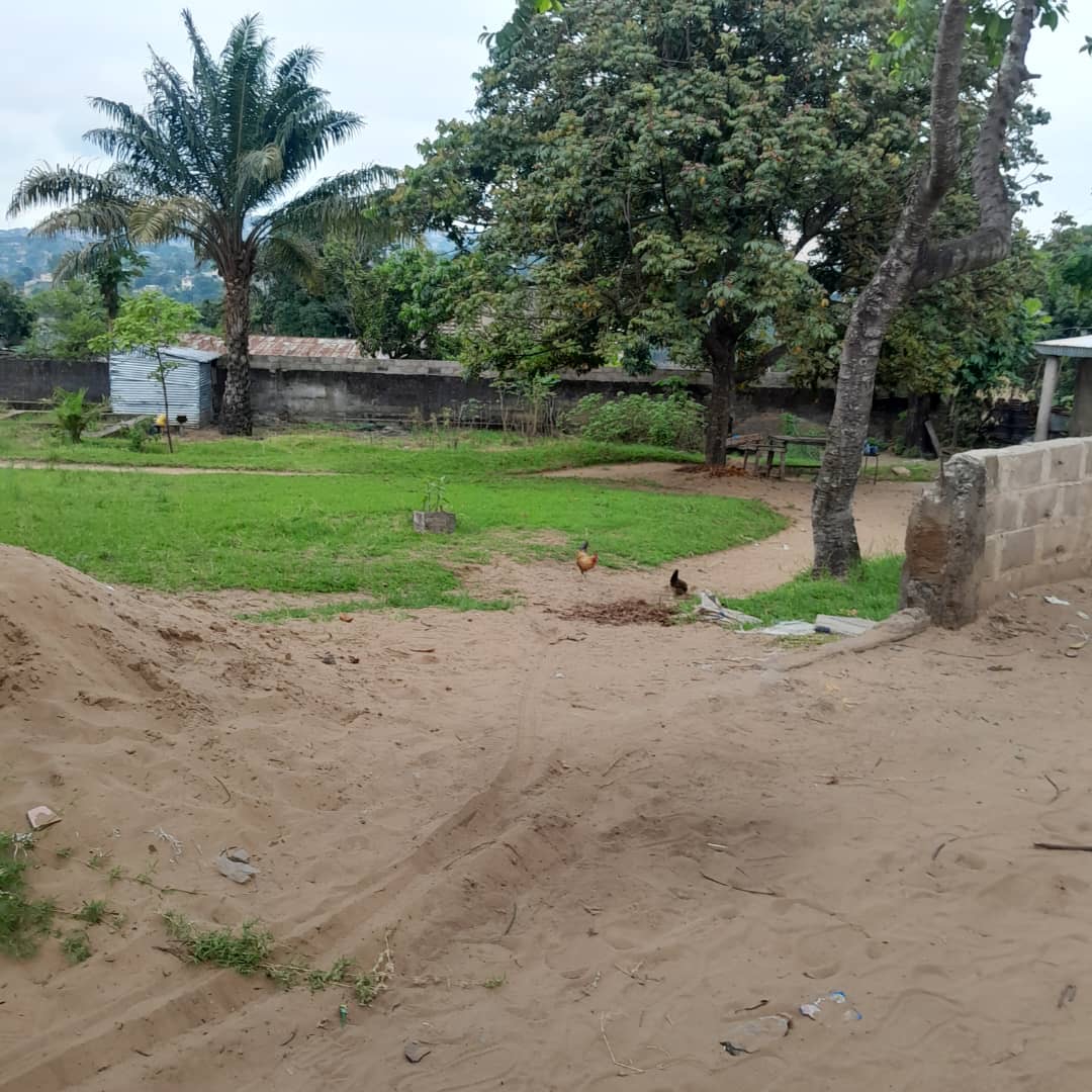 Terrain vide