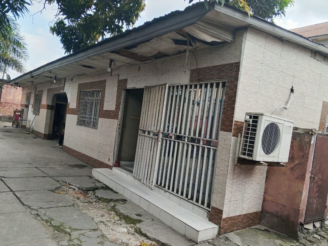 Grande parcelle a vendre 5